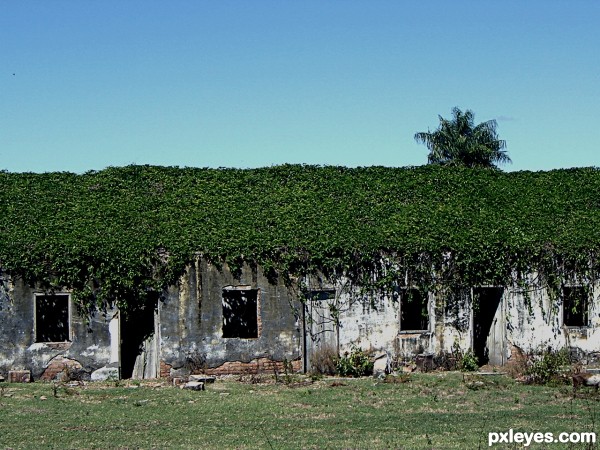 OLD HOUSE